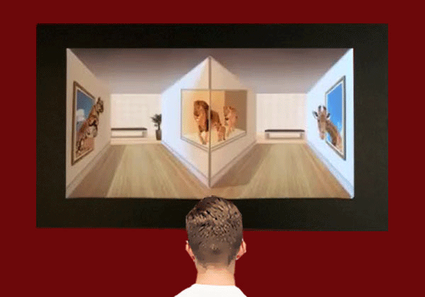 animaux.gif